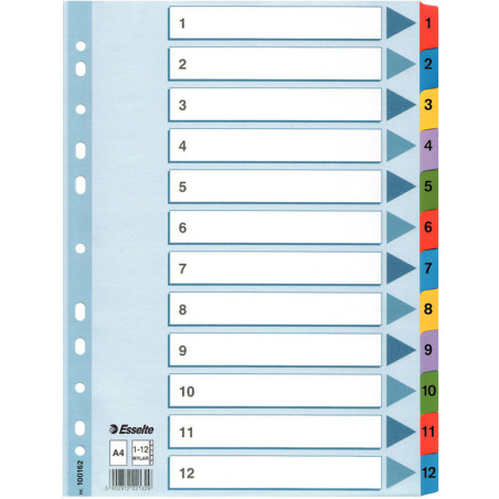 PRZEKŁADKI MYLAR ESSELTE A4 1-12