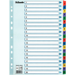 PRZEKŁADKI MYLAR ESSELTE A4 1-20
